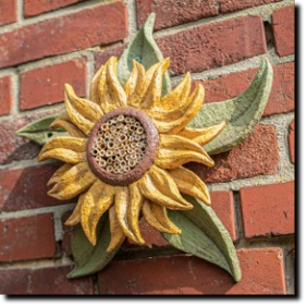 Sonnenblume